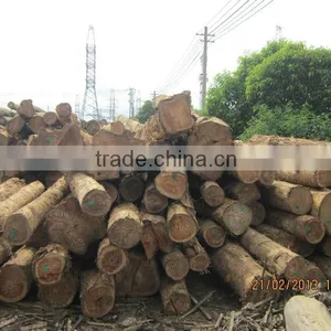 TEAK Wood TIMBER thumbnail-1