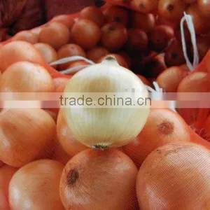 2011 Fresh Onion thumbnail-1