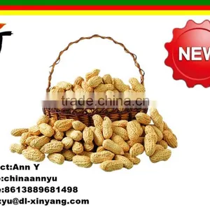 Wholesale Good Quality Peanuts Importers thumbnail-6