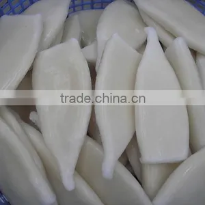 Frozen Squid Tube Fish U5 thumbnail-3