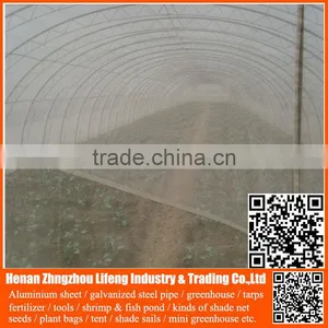 China Factory Hdpe Vegetable Insect Net , Nylon Fruit Anti Insect Net , Plastic Agricultural Greenhouse Anti Insect Proof Net thumbnail-6