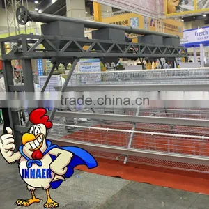 Hot Galvanizing Automatic Feeding Machine for Chicken Equipment thumbnail-1