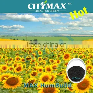 60% Humic Acid Price As Soil Conditional thumbnail-1