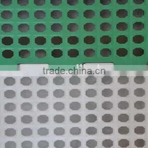 High Quality Slat Floor for Poultry Farm thumbnail-1