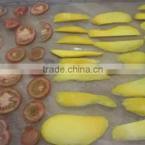 Mango Drying Machine /mango Dryer Over /mango Slice Dryer Machine thumbnail-4