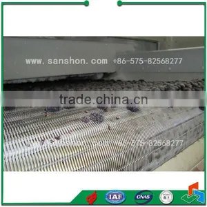 China Vegetable Processing Washing Line,Frozen Vegetable And Fruit Production Line,Vegetable IQF Freezing Line Machine thumbnail-5