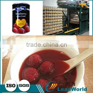 Hot Automatic Canned Waxberry/red Bayberry Palletizer thumbnail-2