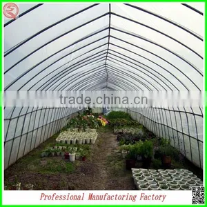Hot Sale Commercial Arched Type Greenhouse for Roses thumbnail-6