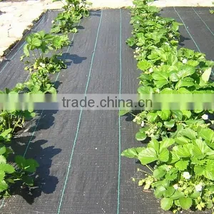 Heavy Duty Weed Bolck Landscape Fabric thumbnail-3