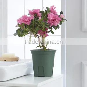 High Impact Plastic Flower Pot thumbnail-5