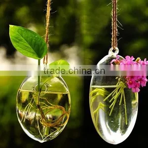 Hanging Glass Terrarium, Handblown Glass Terrarium thumbnail-1