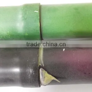 Artificial Lucky Bamboo Pole,real Trunk Bamboo Branches With Plastic Leaves thumbnail-3