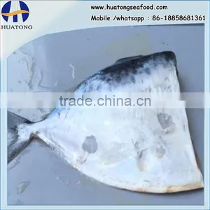 Frozen Moonfish 60-80g/pc HG Mene Maculata thumbnail-1