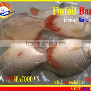 FROZEN W/R RED TAIL TINFOIL BARB thumbnail-5