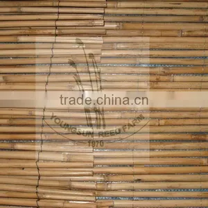Bamboo Fence thumbnail-5