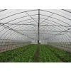 Film Greenhouse XS-FM8000TU thumbnail-2
