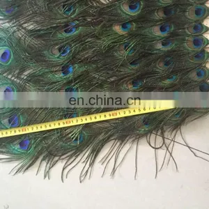 170cm Five Lines Wholesale Natural Peacock Feather Wooden Fan for Party thumbnail-1