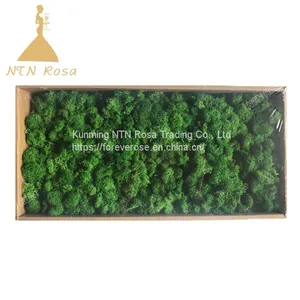 Hot Selling Green Moss Grass Wall for Decoration thumbnail-3