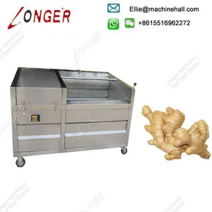 Brush Type Ginger Cassava Peeling and Washing Machine thumbnail-1