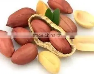 Good Quality Peanut in Shell thumbnail-1