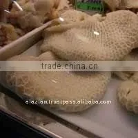 Frozen Buffalo Honey Comb thumbnail-1