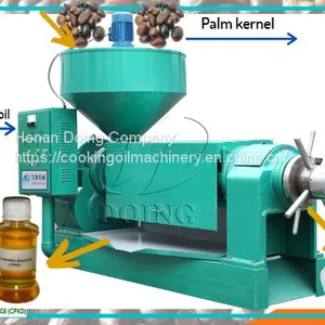 Low Price Palm Kernel Oil Extraction Machine Extraction Plant thumbnail-2