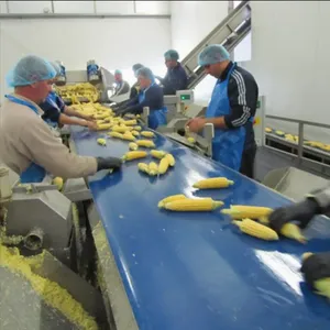 Shanghai Sweet Corn Processing Plant Canned Corn Production Line Sweet Corn Processing Production Line thumbnail-6