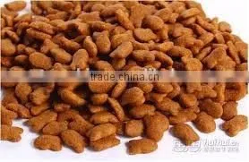 Dry Pet Food Processing Machine thumbnail-6