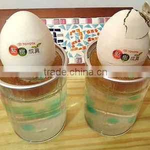 Toyota Crack Self Egg.Magic Bean.Magic Egg thumbnail-2