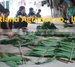 Dry Big Size Bamboo Leaves thumbnail-5
