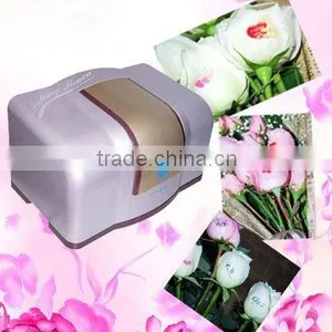 Mini Cheap Beautiful Flower Printer Digital Flower Printer Diy Flower Printer thumbnail-2