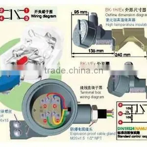 BK-1 Explosion Proof Switch for Three-magnet Driven Level Switch thumbnail-1