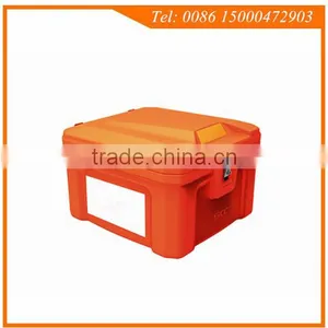 Insulated Plastic Box for Pizza, Insulated Pizza Delivery Box for Fast Food Delivery thumbnail-2