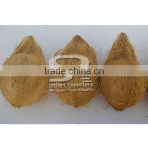 Oraganic Semi Husked Coconuts thumbnail-6