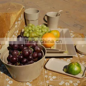 Biodegradable Organic Camping Dinnerware Set thumbnail-1