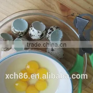 Household Kitchen Quail Scissors For Sale thumbnail-1