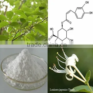 Natural Chlorogenic Acid CAS: 327-97-9 thumbnail-1