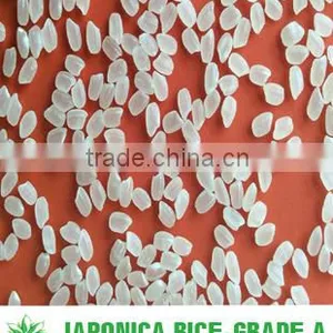 VIETNAMESE MEDIUM GRAIN RICE 5% BROKEN - USD400-450/MT thumbnail-1