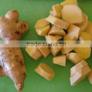 VIETNAM OLD FRESH GINGER SUPPLIER COMPETITIVE PRICE thumbnail-4