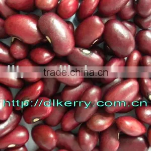 Small Red Kidney Beans thumbnail-1