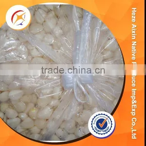 Pickled And Seasoned Garlic thumbnail-3