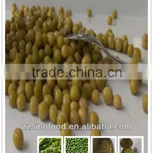 Canned Green Peas Canned Vegetable in Brine With Highly Popular thumbnail-1