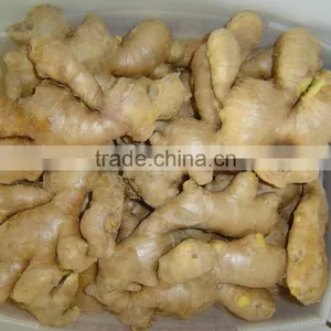 Fresh Air Dried Ginger of Shandong thumbnail-1