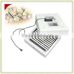 Thermostat Egg Incubator 48 Eggs thumbnail-1