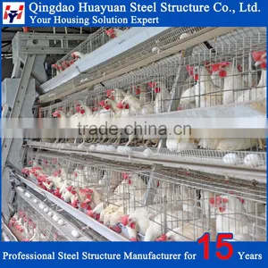 Low Cost Prefab Steel Chicken Shed Construction thumbnail-1