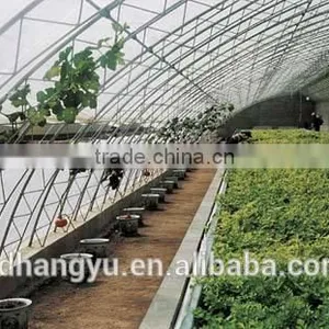 High Quality Mushroom Commercial Greenhouse thumbnail-3