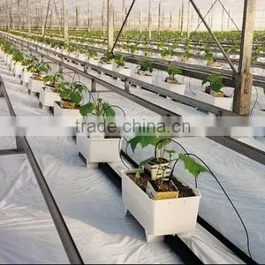 Hydroponics Greenhouse Multi Span Poly Film/PC Sheet thumbnail-2