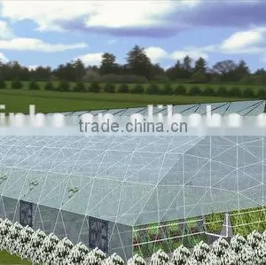Prefabricated One-stop Dome Film Greenhouse Vegetables thumbnail-1