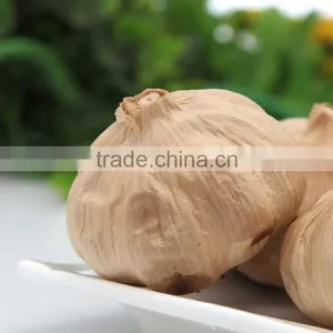 Wholesale Chinese High Quality Black Garlic With Compeititve Price--HC Company thumbnail-1