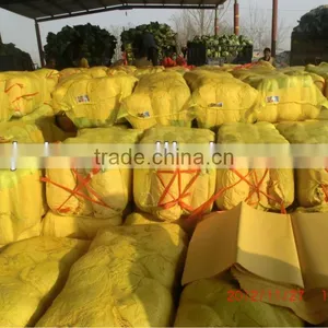 PP Leno Mesh Bags Export to Russia, China thumbnail-1